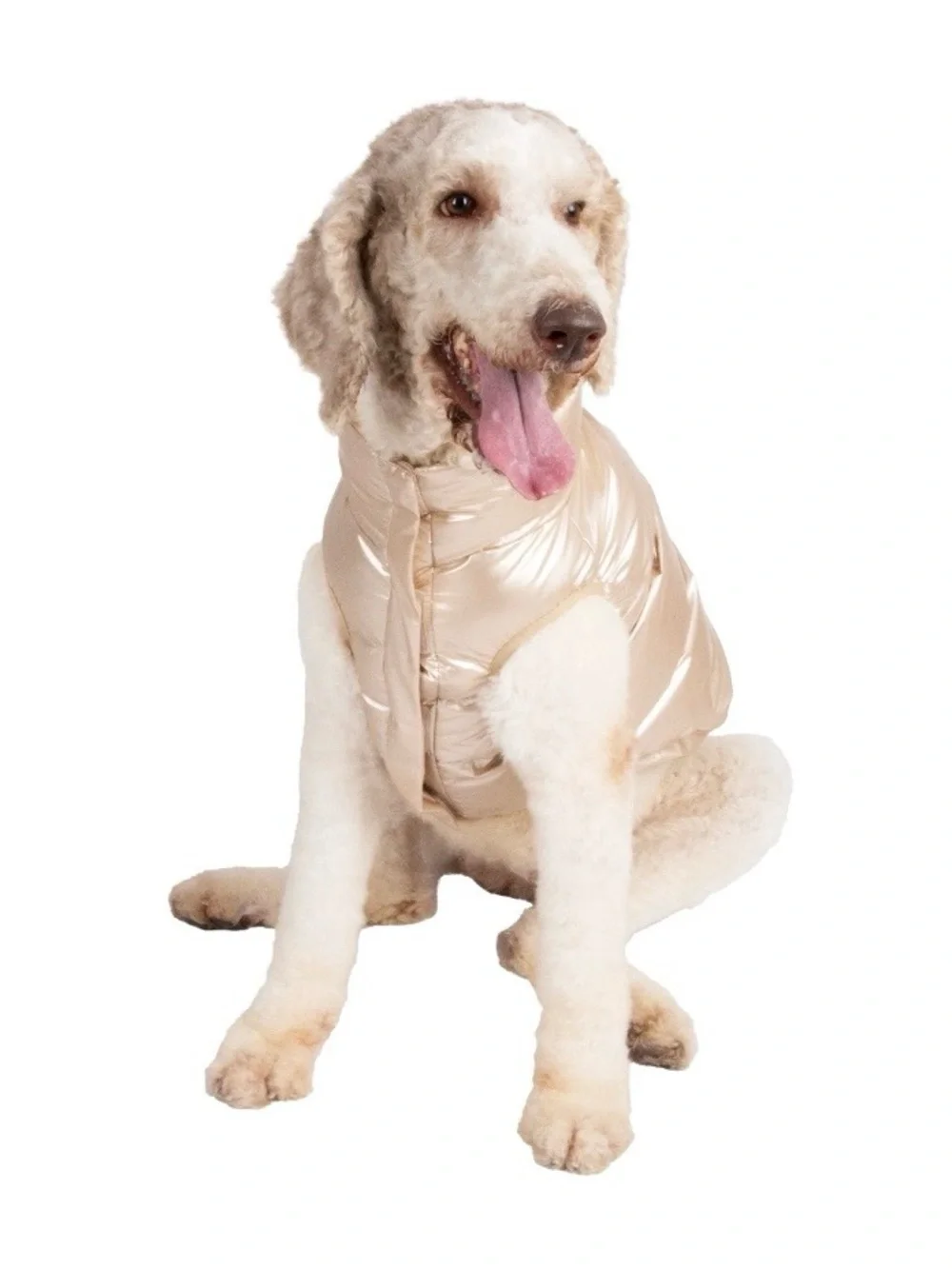 Oodles Metallic Gold Puffer Dog Jacket Size Medium Quilted Fall Winter Coat